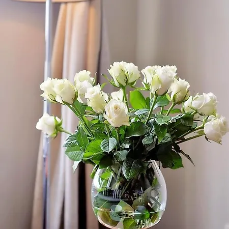 Apartament Dobruk Roma Prywatny W Royal Tulip *