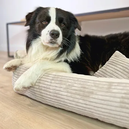 Apartamento 408 W Pieciogwiazdkowym Royal Tulip Plaza 200 M Dobruk Kołobrzeg